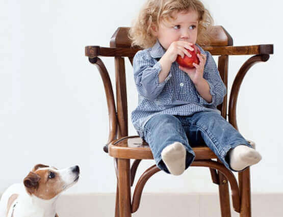 Kind auf einem nicht kindergerechten Esszimmerstuhl
