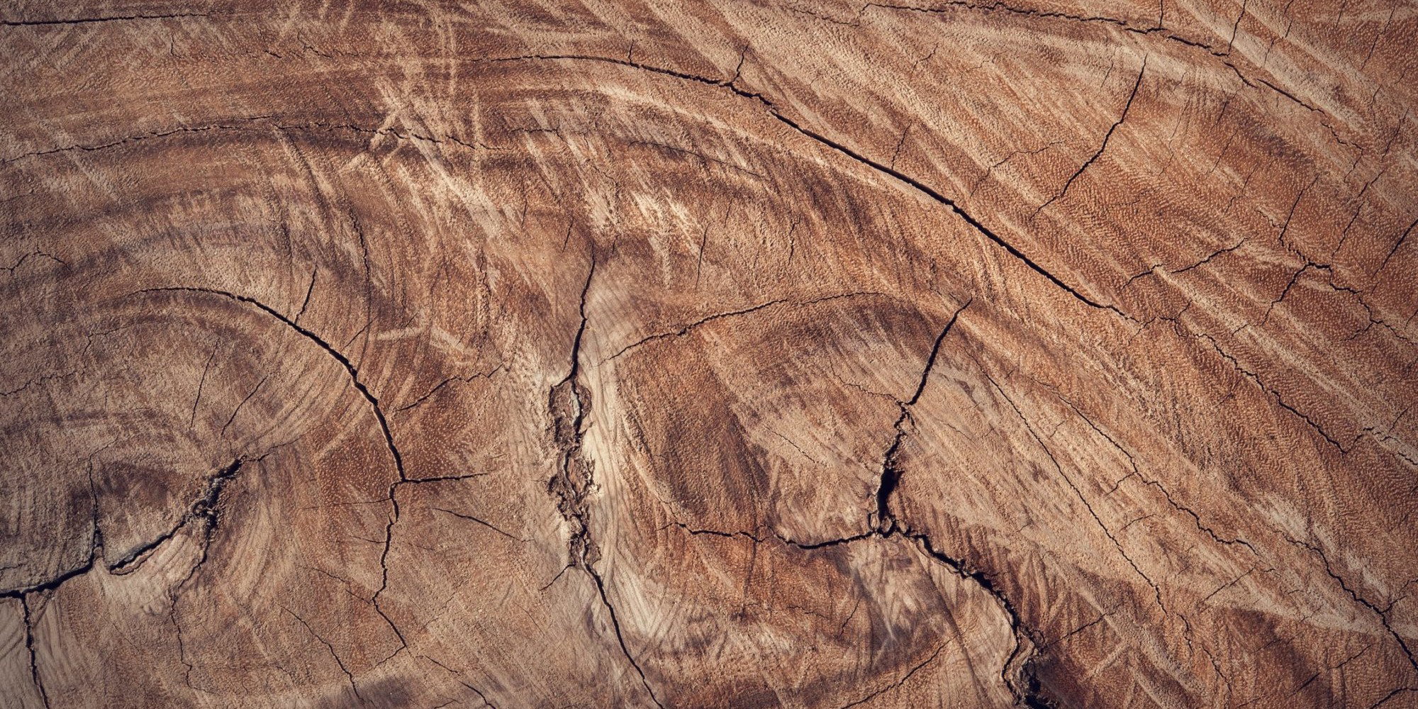 Massivholz, Massivholzmöbel, Holzmöbel, Vorteile von Holzmöbeln,