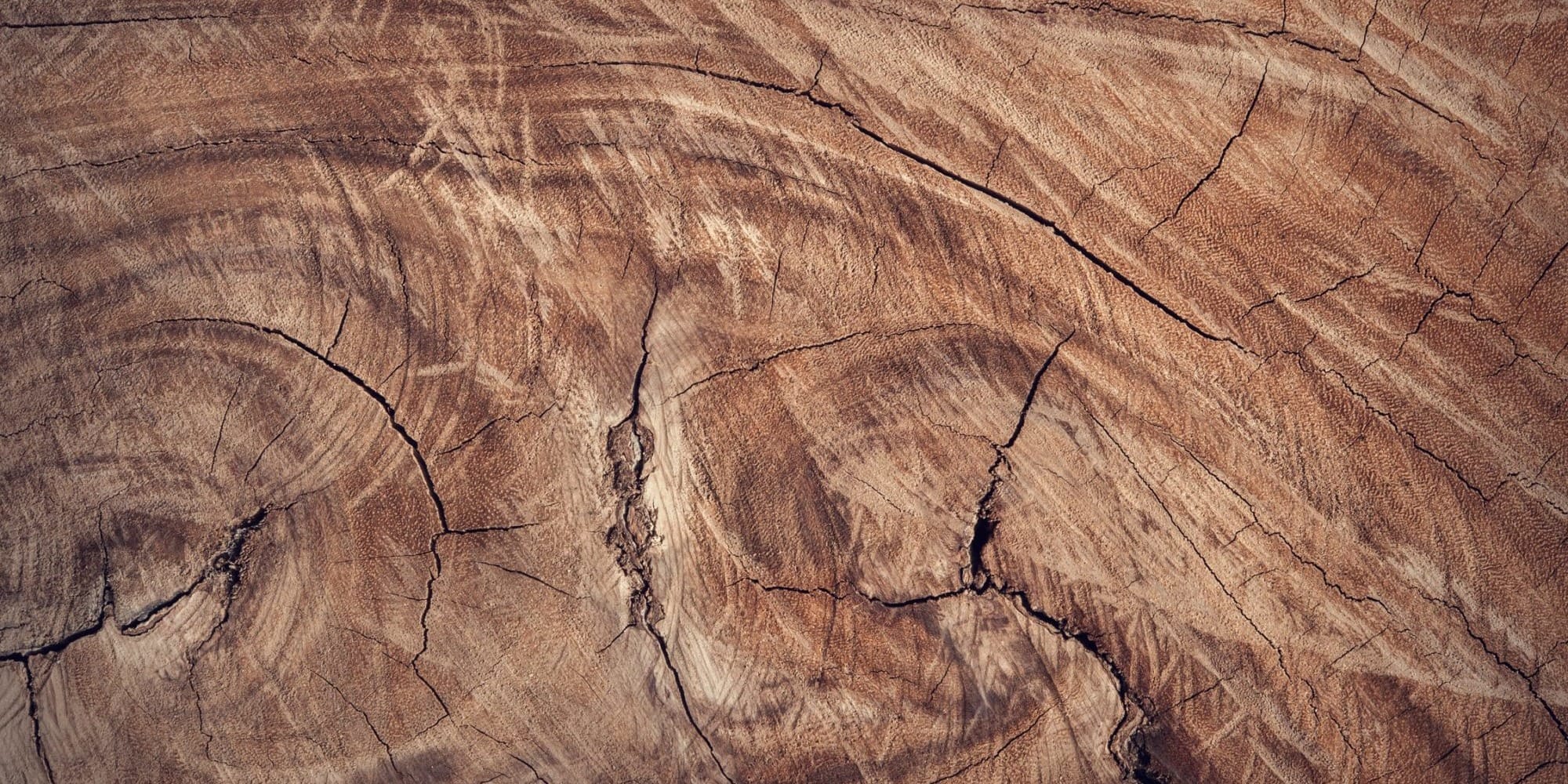Massivholz, Massivholzmöbel, Holzmöbel, Vorteile von Holzmöbeln,