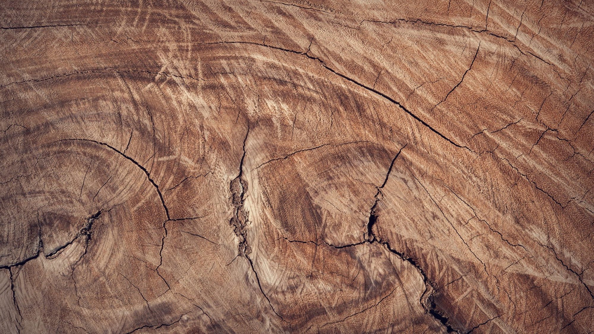 Massivholz, Massivholzmöbel, Holzmöbel, Vorteile von Holzmöbeln,