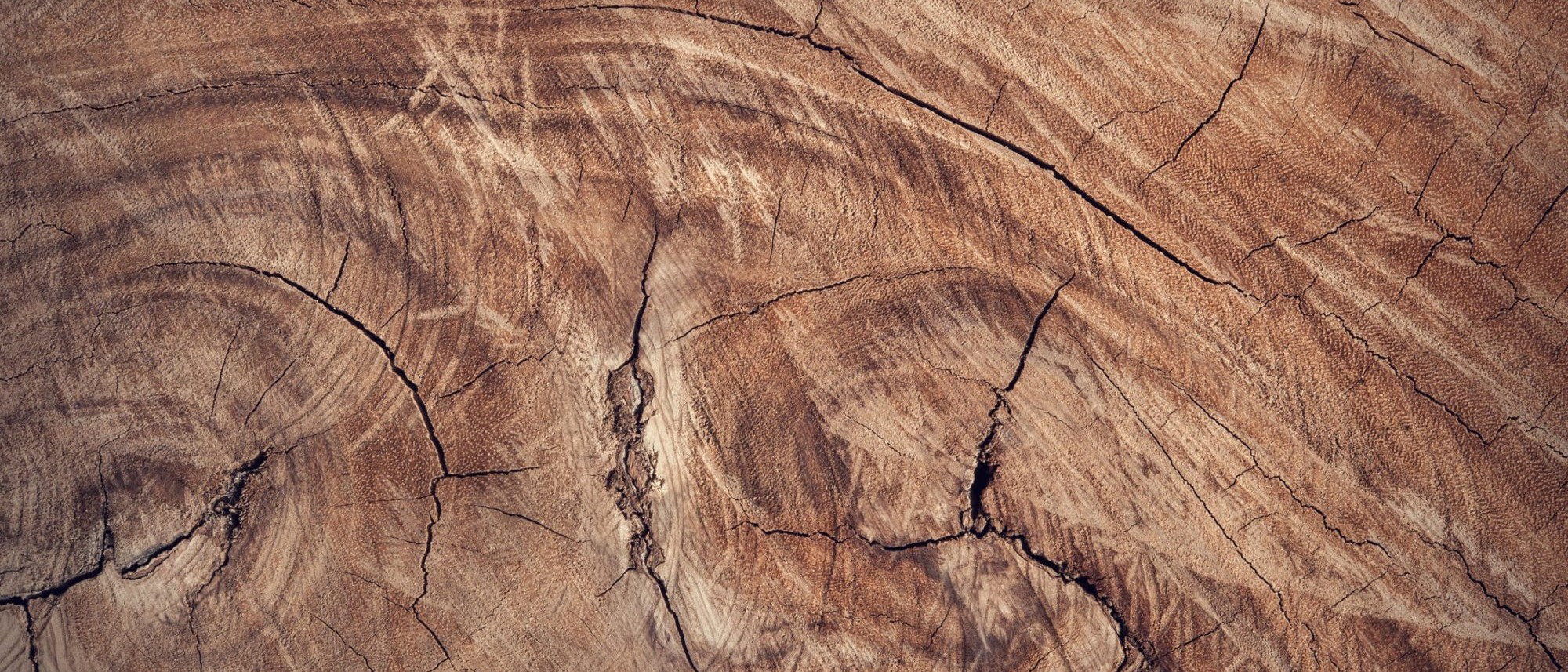 Massivholz, Massivholzmöbel, Holzmöbel, Vorteile von Holzmöbeln,