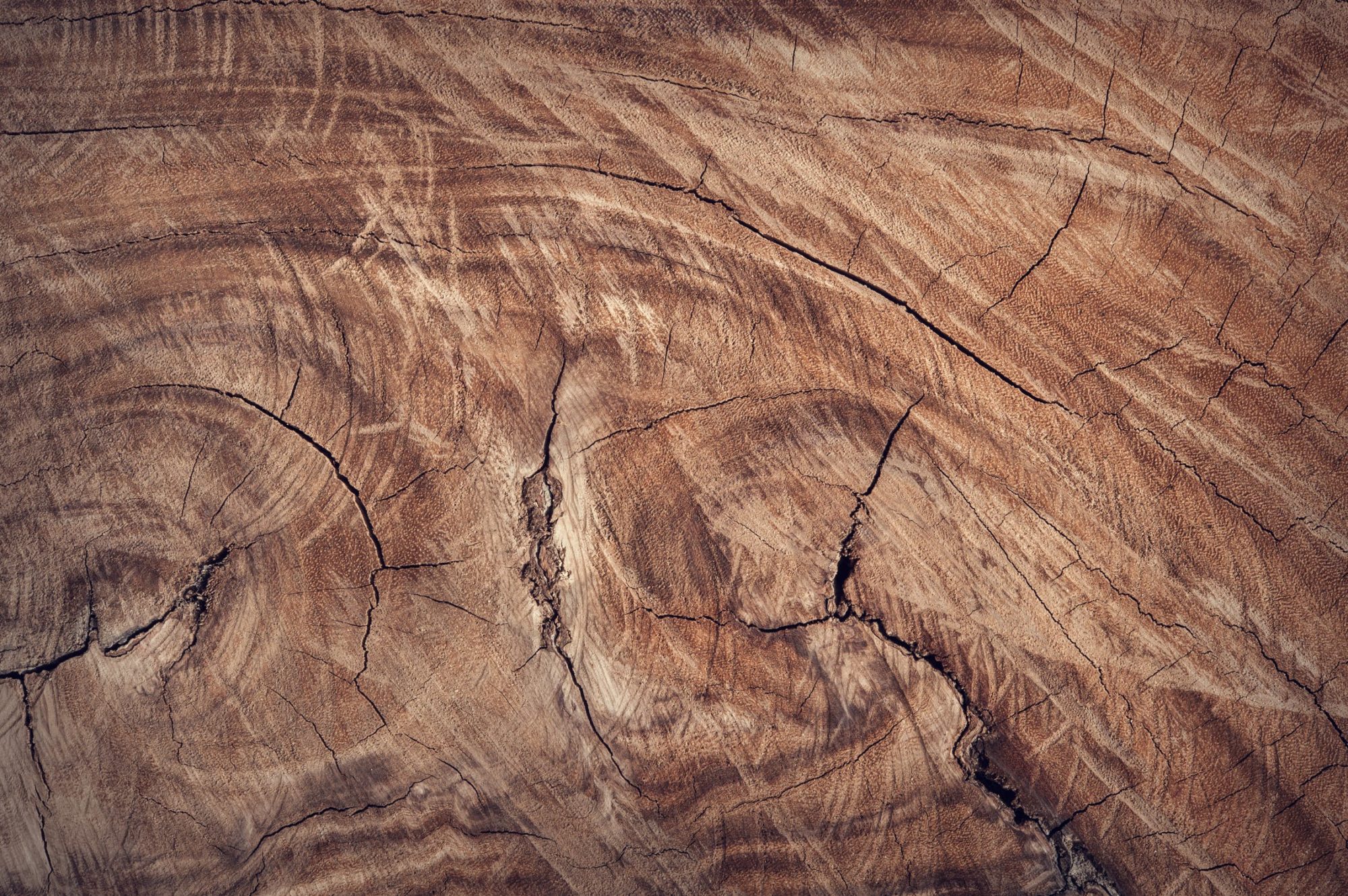 Massivholz, Massivholzmöbel, Holzmöbel, Vorteile von Holzmöbeln,