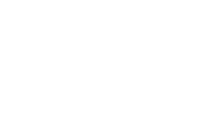 Logo der Küchenmarke silverline