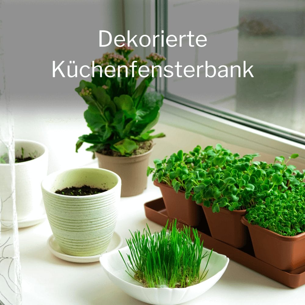 Dekorierte Küchenfensterbank mit Kresse und anderen Kräutern