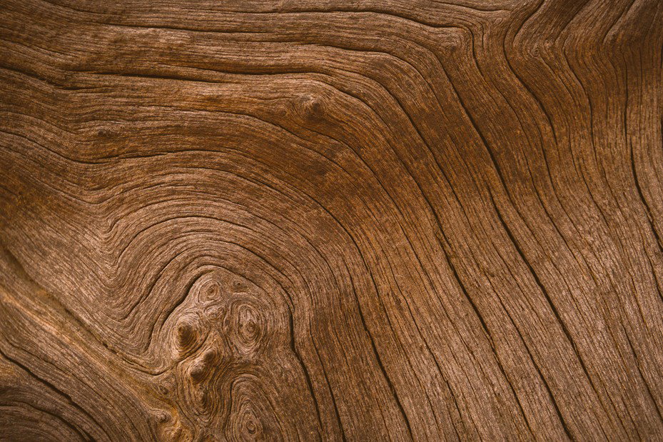 WK Holz