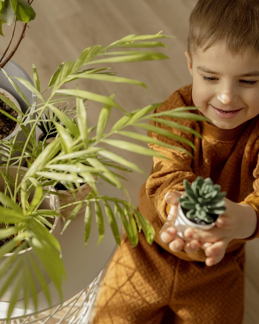 Grüne Pflanzen, Junge hält Pflanze in der Hand