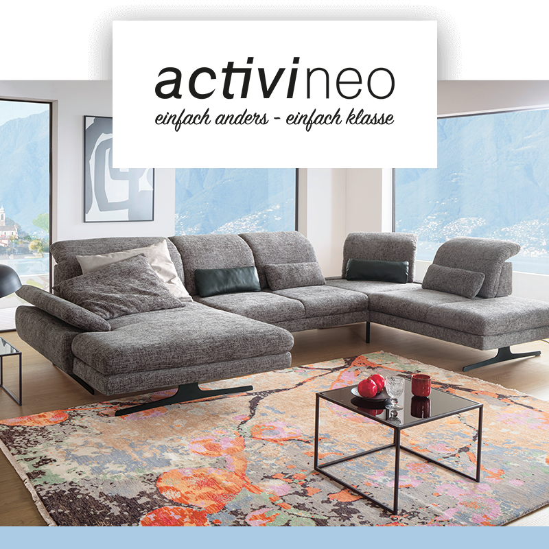 Hesebeck Home Company ACTIVINEO