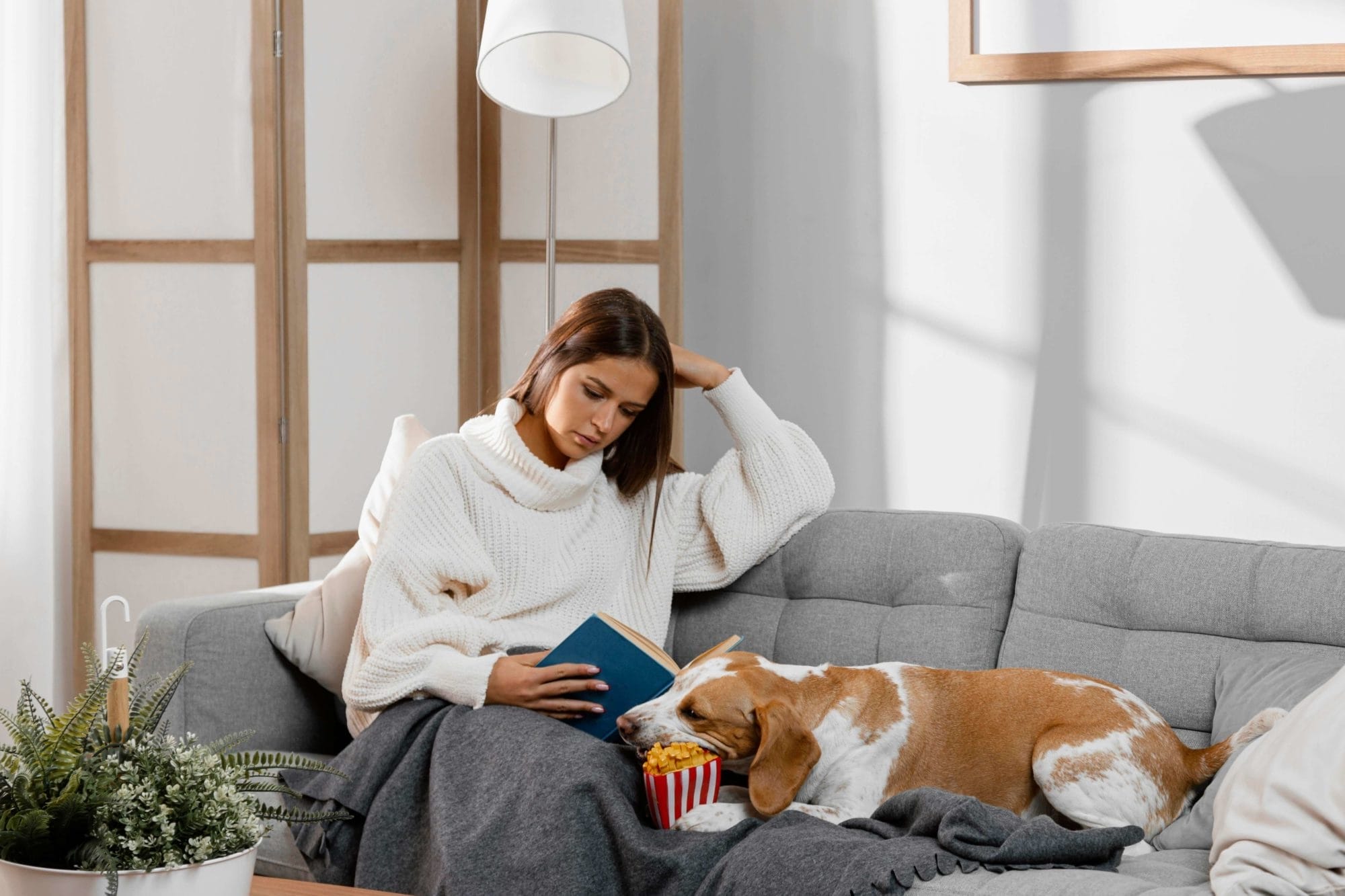 Frau in wei&szlig;em Strickpullover liest auf dem Sofa, neben ihr liegt ein Hund und ein Eimer Popcorn.