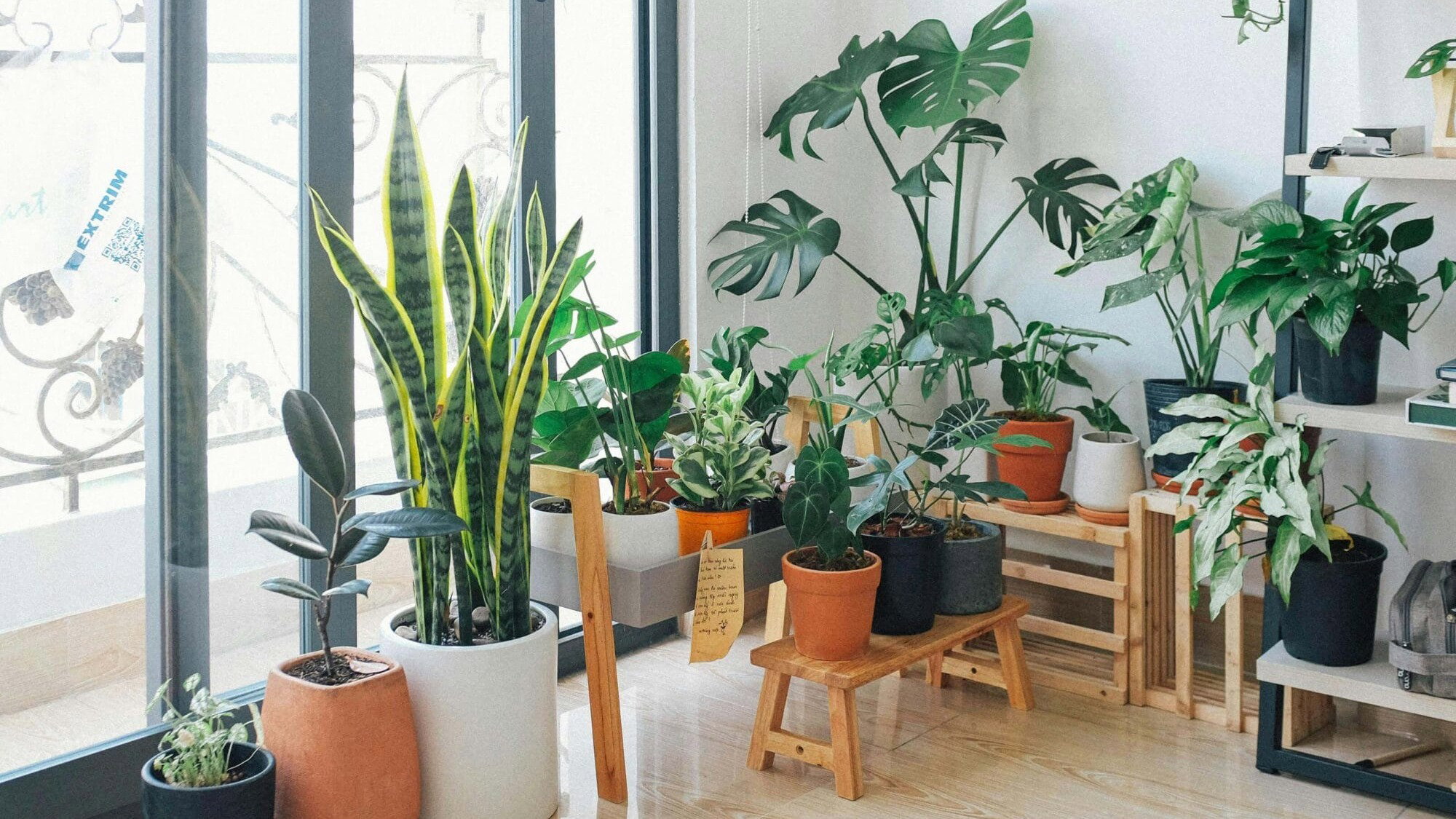 Trendfarbe Grün – Pflanzen machen es möglich