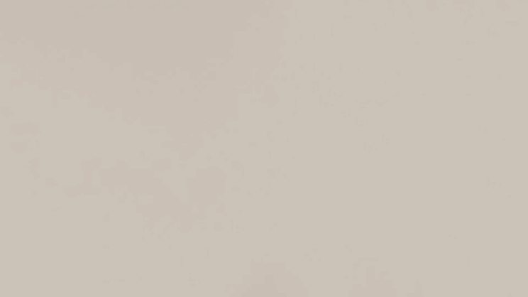 Beige Farbe als Farbbeispiel für eine Grundfarbe im Esszimmer