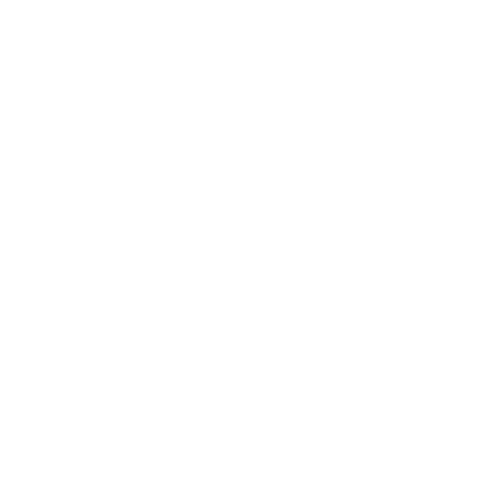 EMV Logo