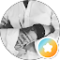 Uwe Bünte Avatar