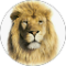 Hartmut Loewe Avatar