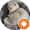 Heike Petra Avatar