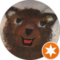 Reinhold Seisenberger Avatar
