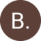 B. Schmidt Avatar